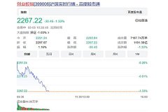 A股开盘表现不一 创业板指数下跌1.33%！