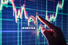 股票配资门户怎么样查询股价信息？